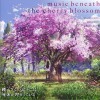 TECHNOBOYS PULCRAFT GREEN-FUND Sure 试听