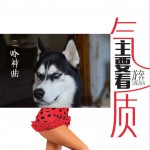 主要看气质 (单曲)试听