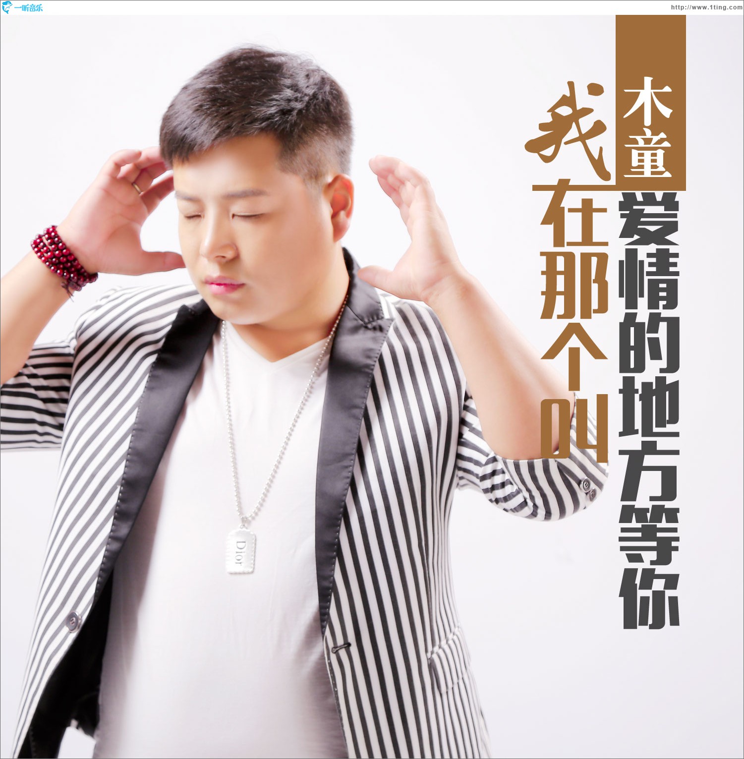 我在那个叫爱情的地方等你 (单曲)