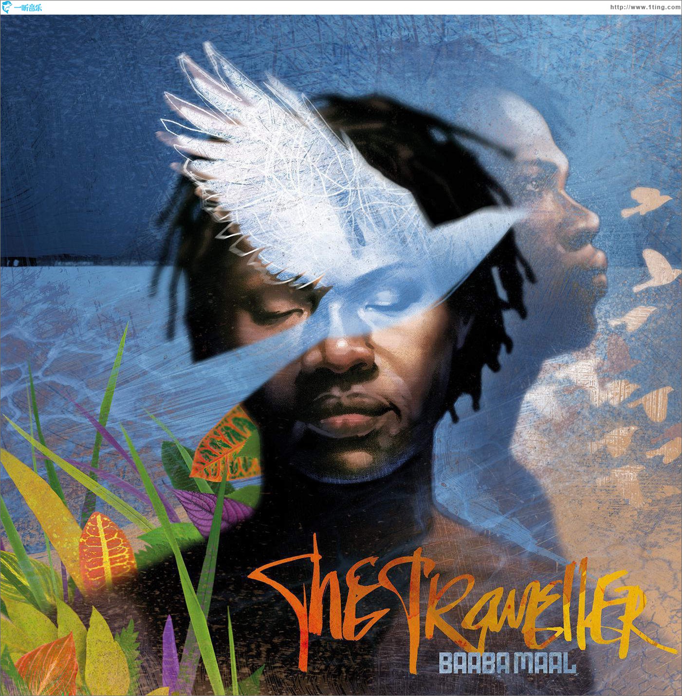 The Traveller