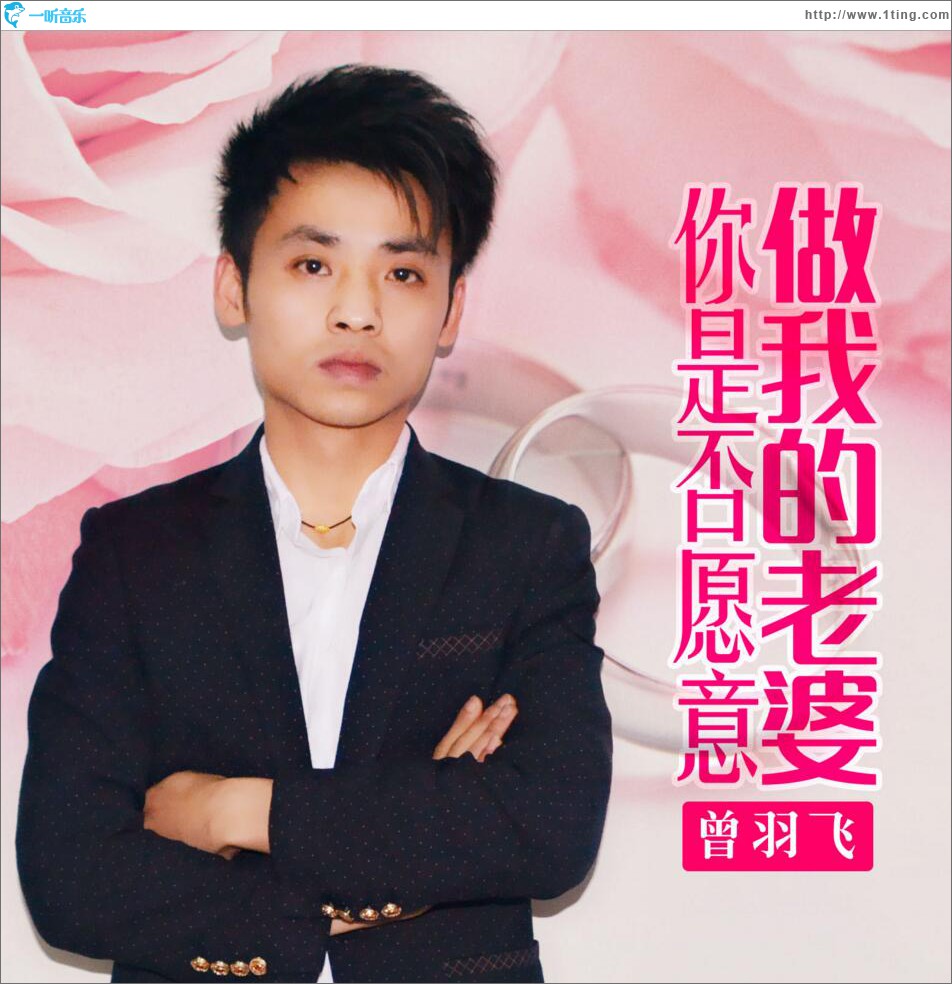 你是否愿意做我老婆 (单曲)
