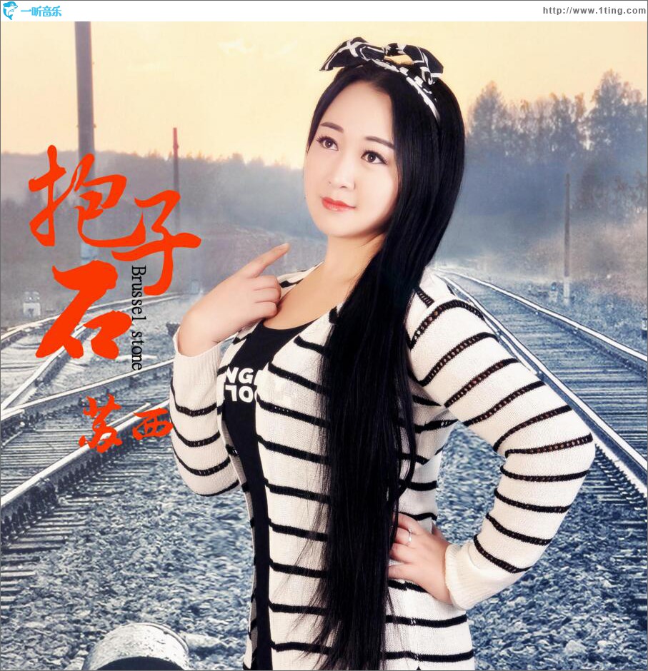 抱子石 (单曲)