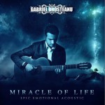 Miracle Of Life-Epic Emotional Acoustic详情