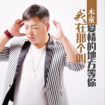 我在那个叫爱情的地方等你 (单曲)详情
