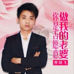 你是否愿意做我老婆 (单曲)详情