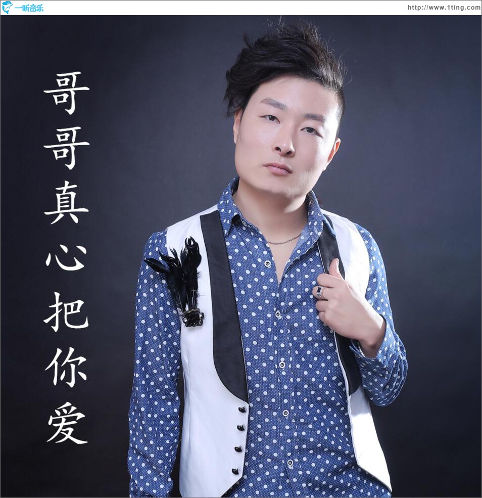 哥哥真心把你爱 (单曲)