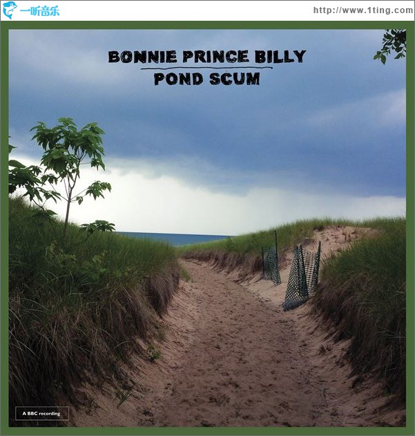 Pond Scum