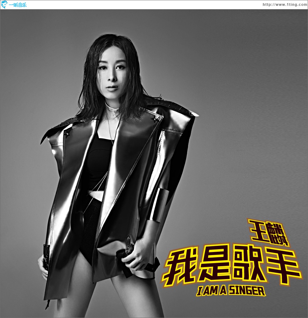 我是歌手 (单曲)
