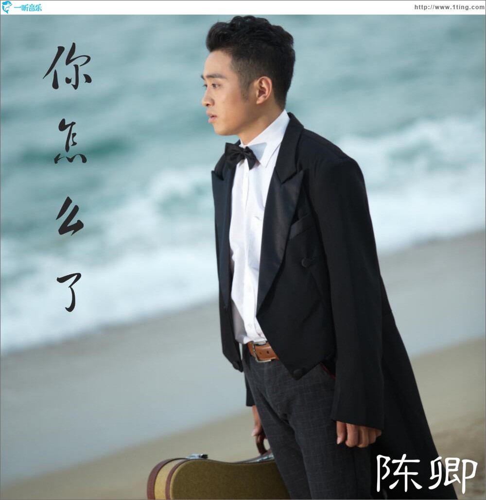 你怎么了 (单曲)
