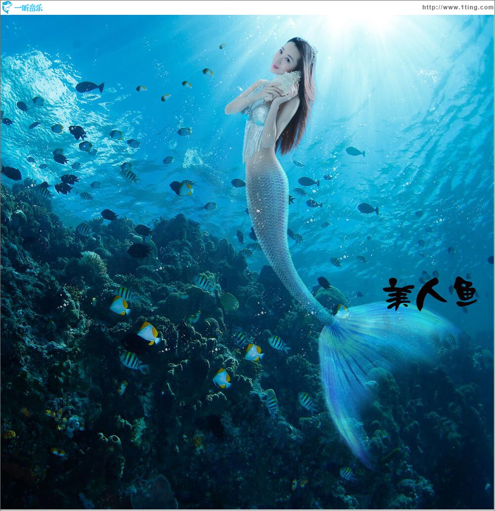 美人鱼 (单曲)