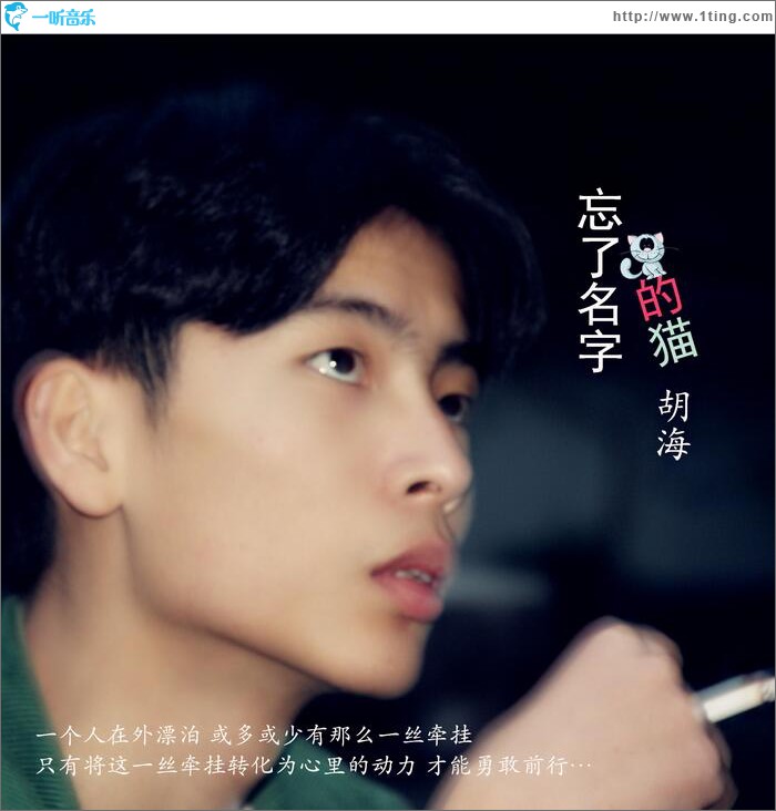 忘了名字的猫 (单曲)