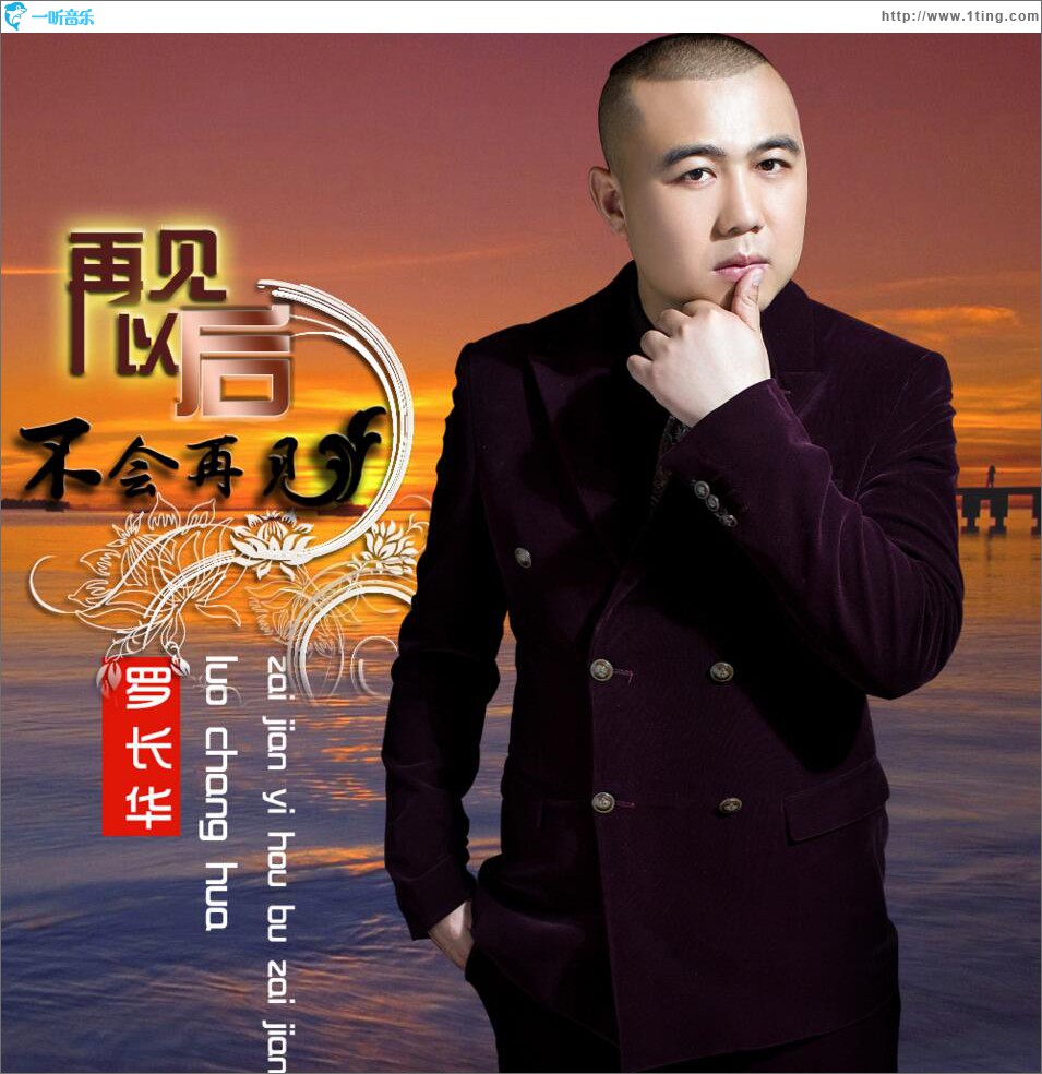 再见以后不会再见 (单曲)