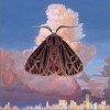 Moth