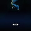 Suede When You Are Young 试听