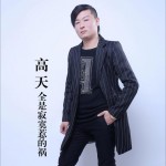全是寂寞惹的祸 (单曲)详情