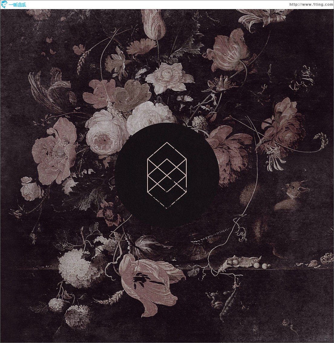 Monochrome Noise Love