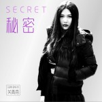秘密 (单曲)详情