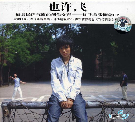 也许,飞