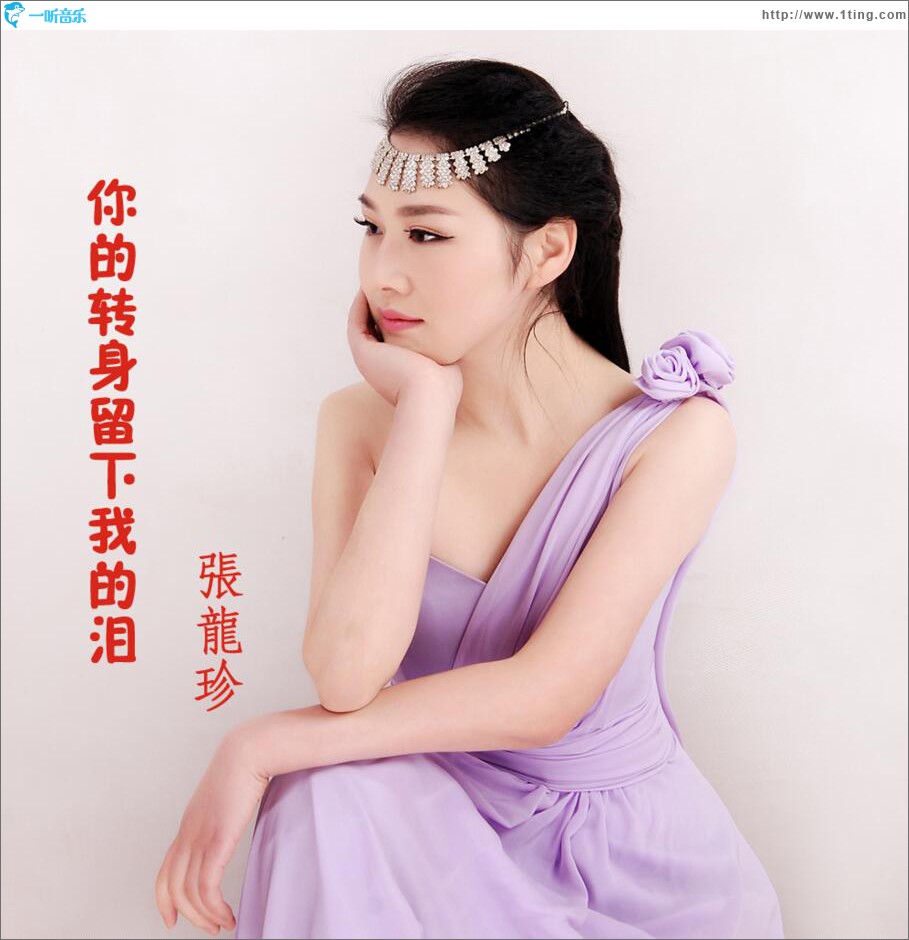 你的转身留下我的泪 (单曲)