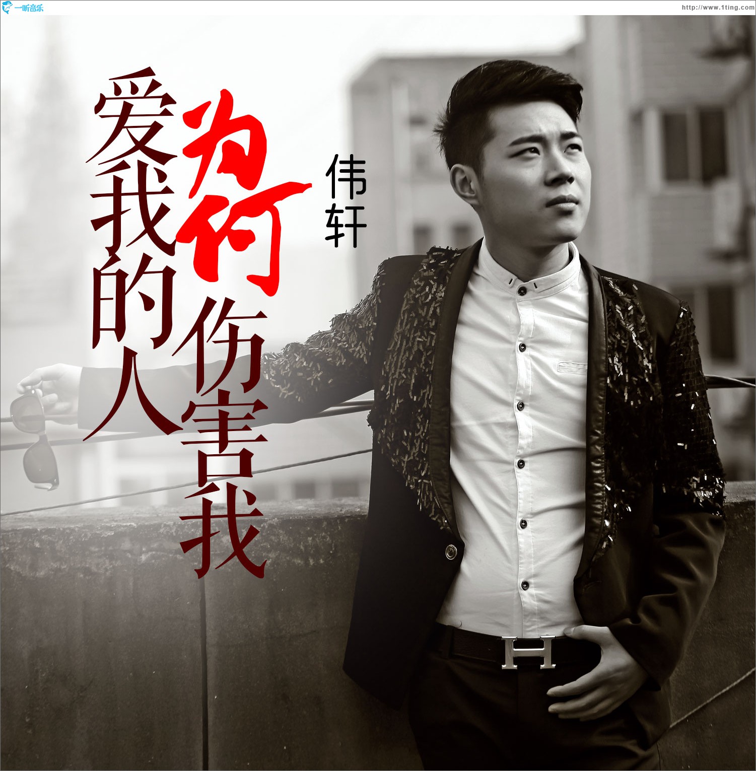 爱我的人为何伤害我 (单曲)