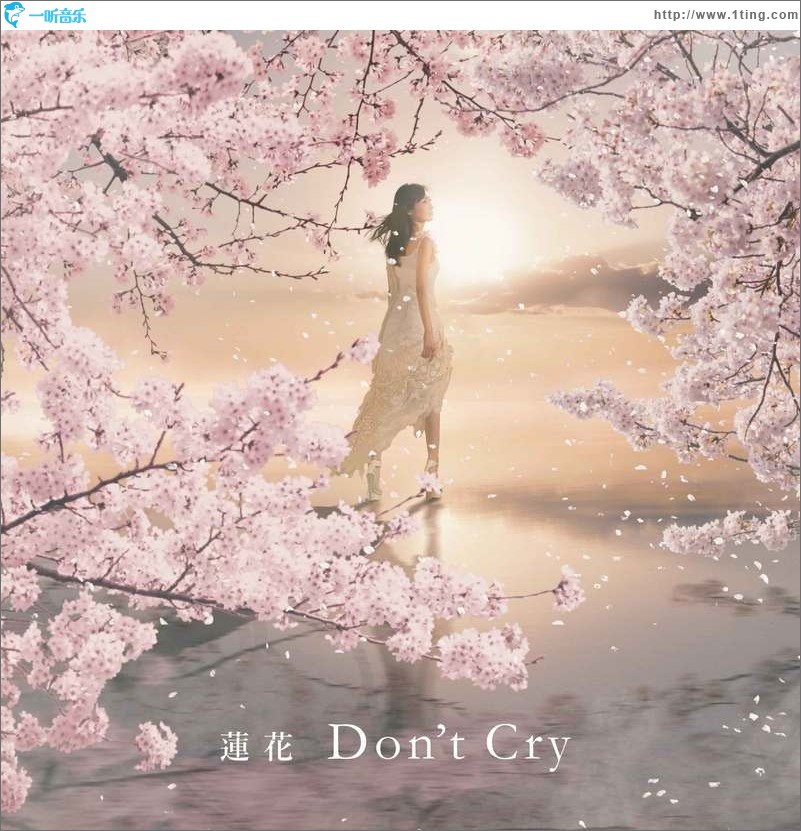 Don't Cry