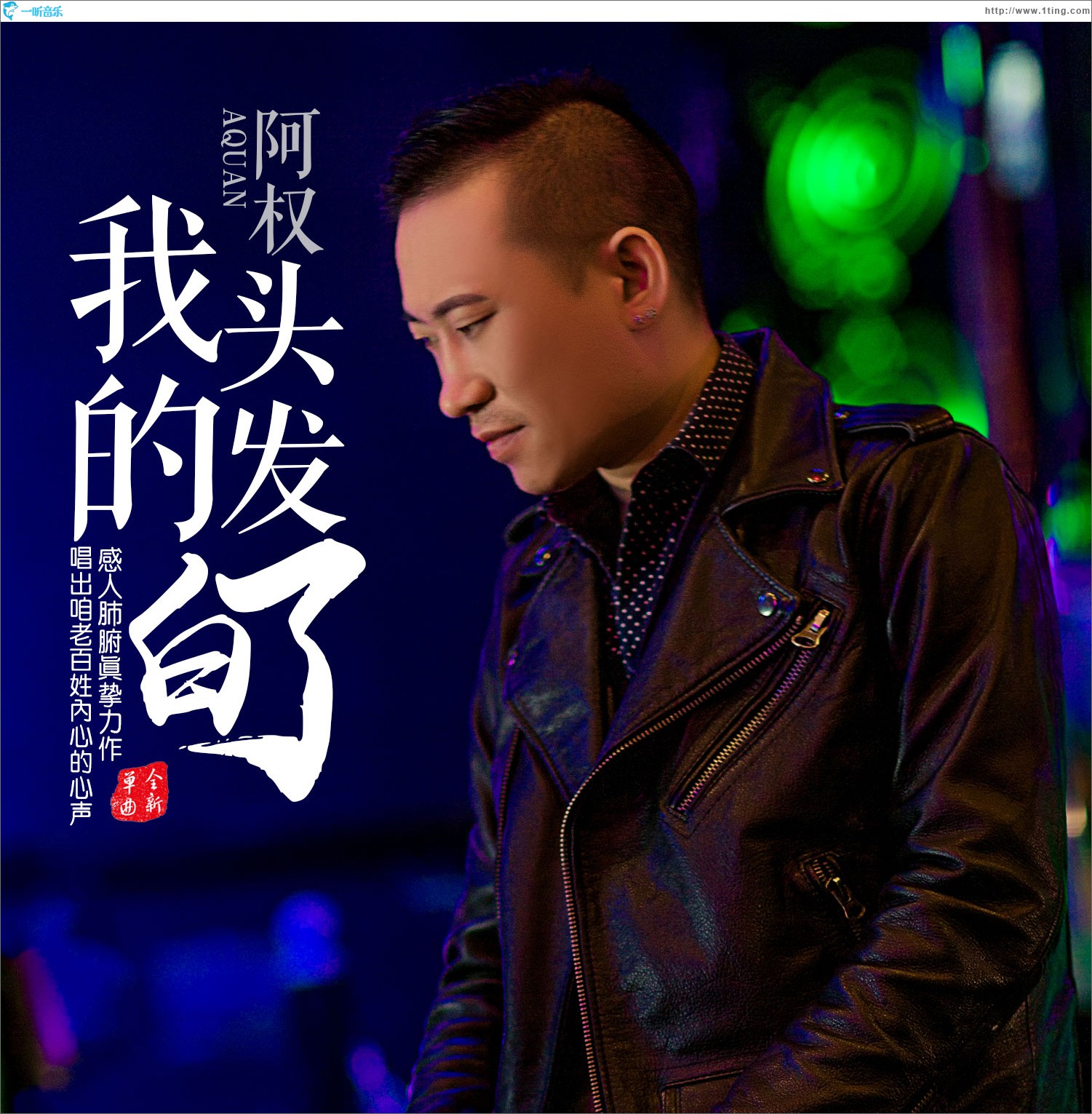我的头发白了 (单曲)