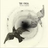 The Coral Connector 试听