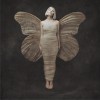 All My Demons Greeting Me as a Friend (Deluxe)