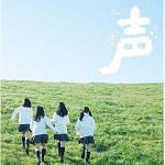 声详情