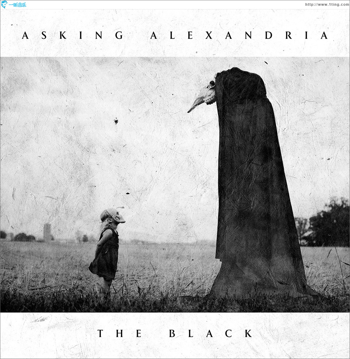 The Black