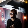 杨晨晖 爱情伤心雨 试听