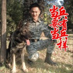 当兵要有当兵样 (单曲)详情