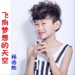 飞向梦想的天空 (单曲)详情