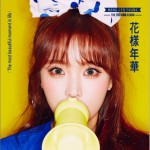 화양연화 (花樣年華)详情