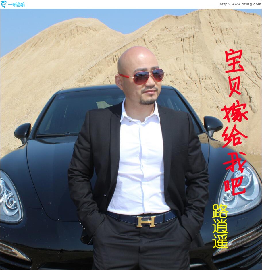 宝贝嫁给我吧 (单曲)
