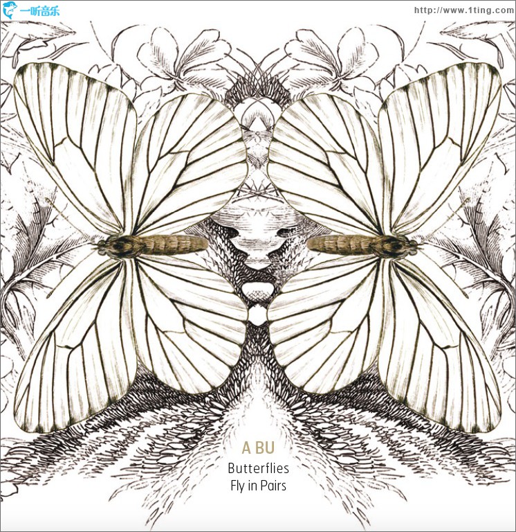 Butterflies Fly in Pairs 双飞蝴蝶