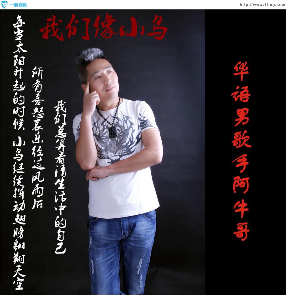 我们像小鸟 (单曲)