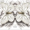 阿布 Butterflies Fly in Pairs II 双飞蝴蝶二 试听
