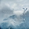 王艺洁 Happy Birthday 试听