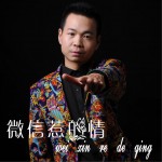 微信惹的情 (单曲)详情
