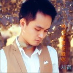我为何还要爱你 (单曲)详情
