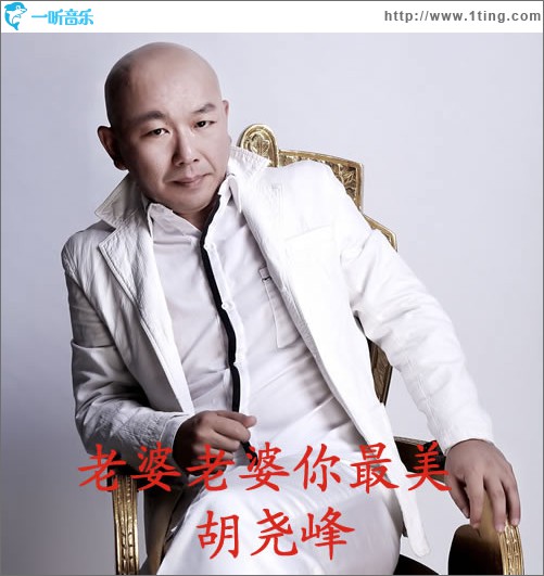 老婆老婆你最美 (单曲)