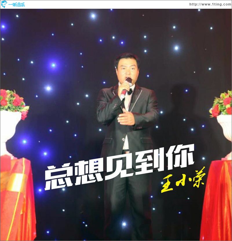 总想见到你