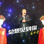 总想见到你详情