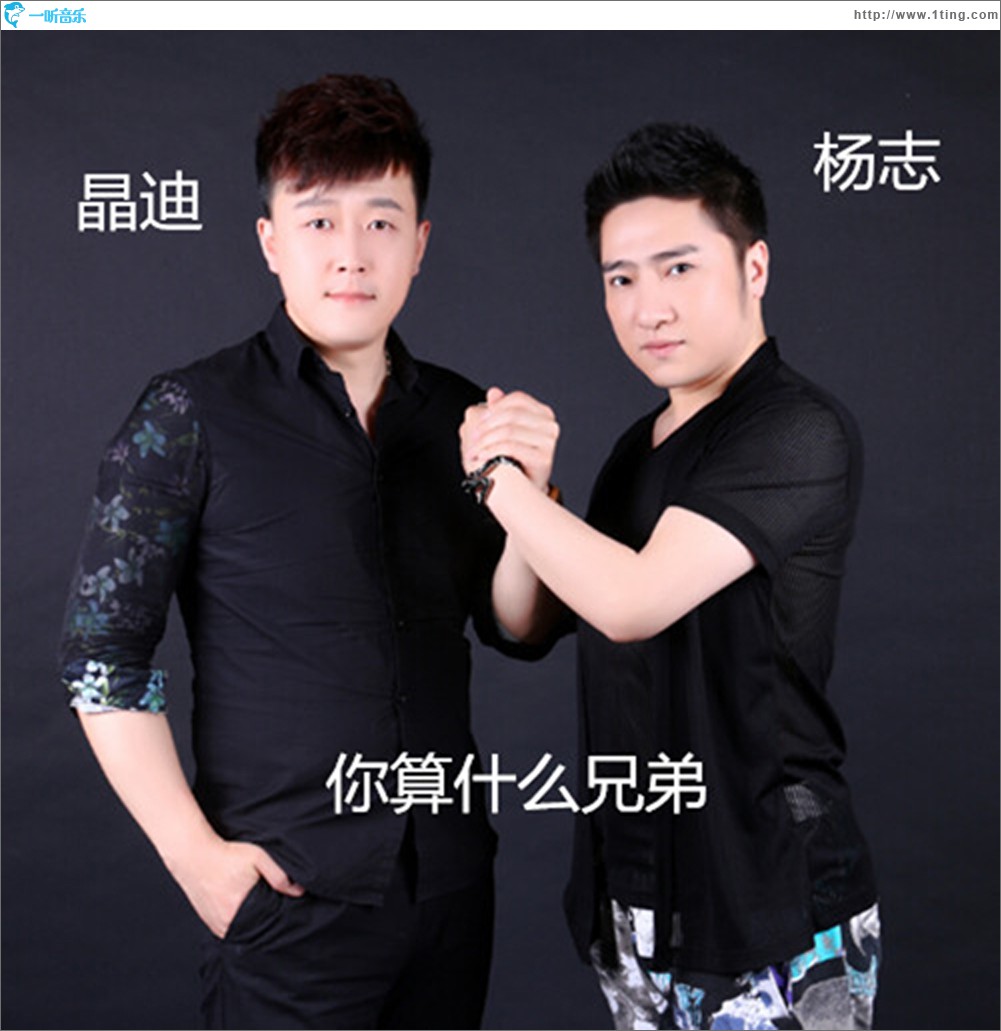 你算什么兄弟 (单曲)