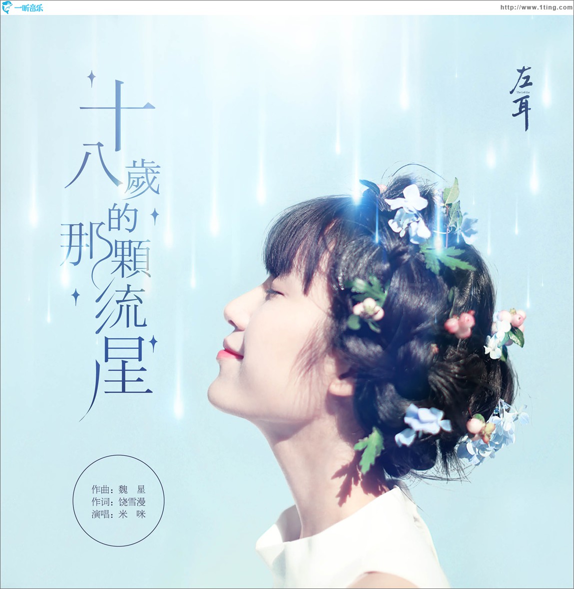 十八岁的那颗流星 (单曲)