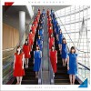 乃木坂46 命は美しい 试听