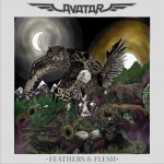 Feathers & Flesh (Deluxe Edition)详情