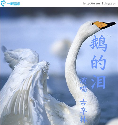 鹅的泪 (单曲)