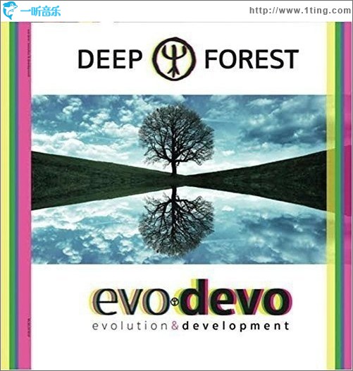 Evo Devo